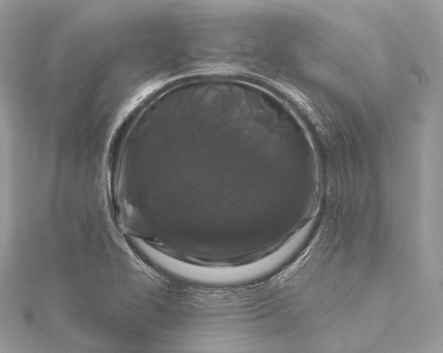 X0000115531414200911201710