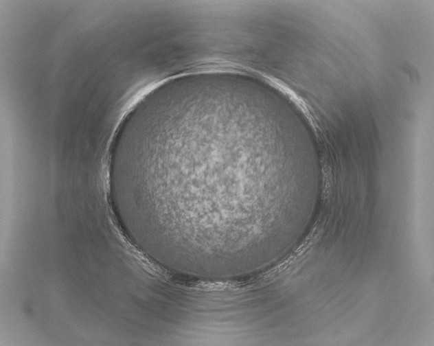 X0000115531415200911201710