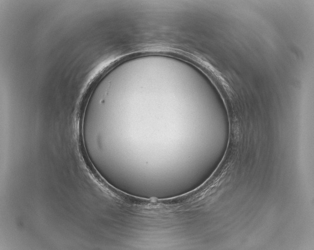 X0000115531416200911201710