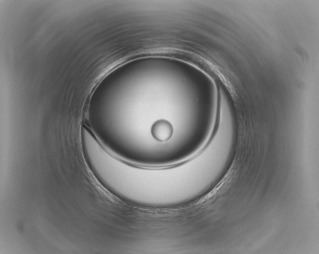 X0000115531417200911201710