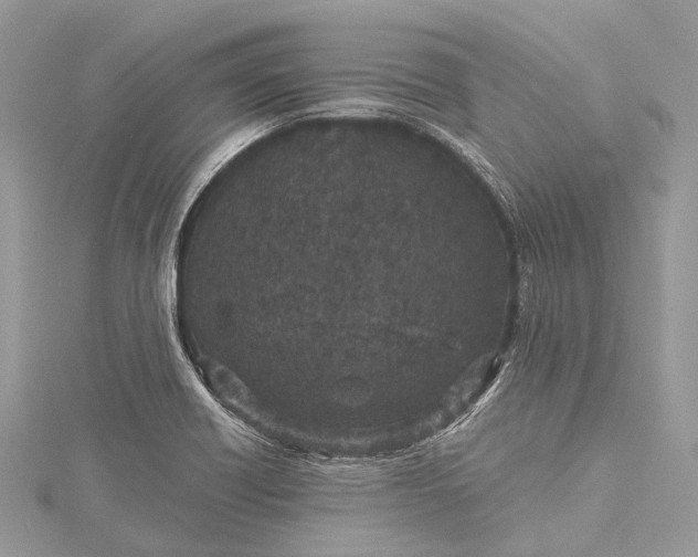 X0000115531418200911201710