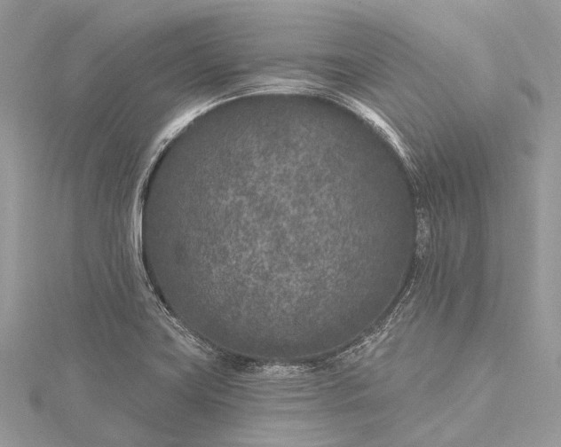 X0000115531419200911201710