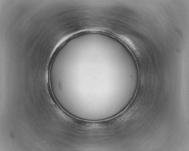 X0000115531420200911201710