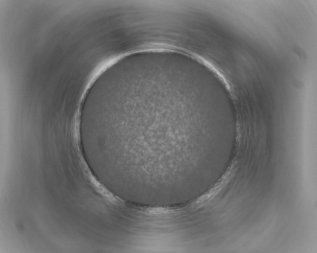 X0000115531421200911201710