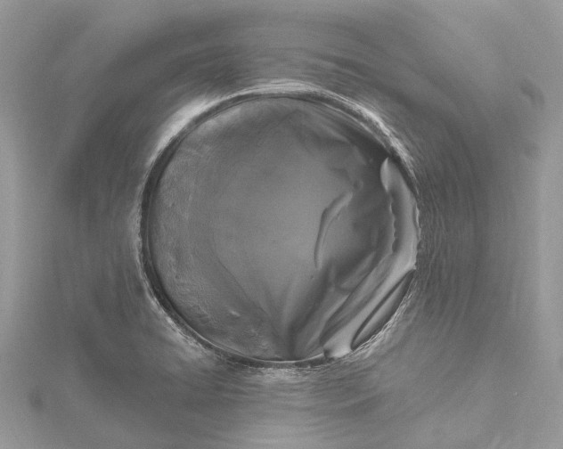 X0000115531422200911201710