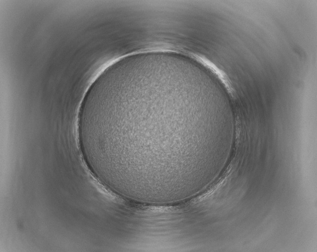 X0000115531423200911201710