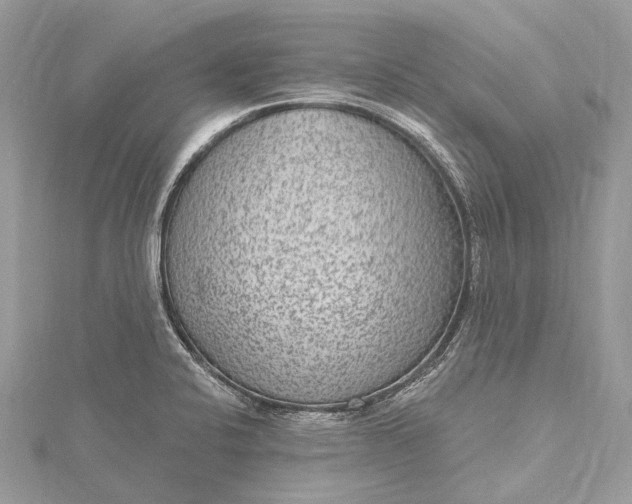 X0000115531424200911201710