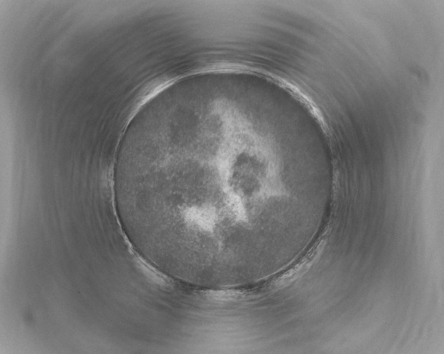 X0000115531425200911201710