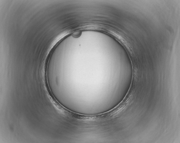 X0000115531426200911201710