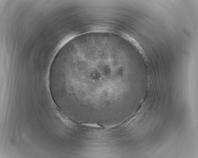 X0000115531427200911201710