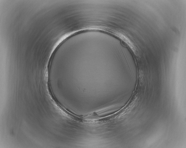 X0000115531428200911201710