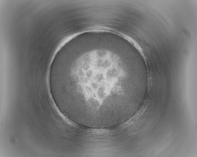 X0000115531429200911201710