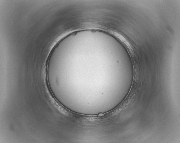 X0000115531431200911201710