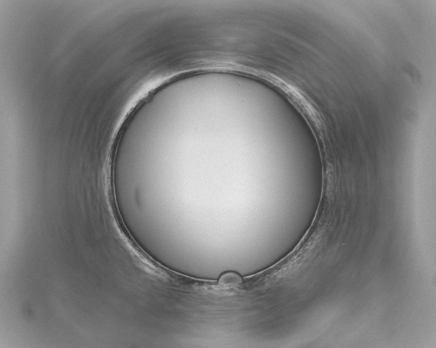 X0000115531432200911201710