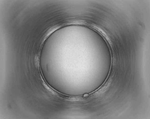 X0000115531433200911201710