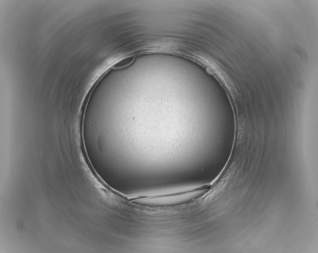 X0000115531434200911201710