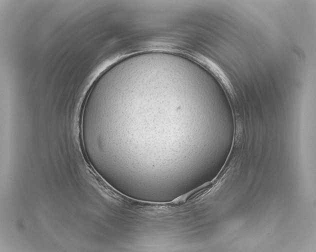 X0000115531435200911201710