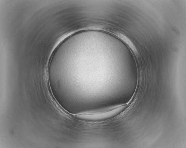 X0000115531436200911201710