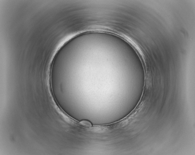 X0000115531437200911201710