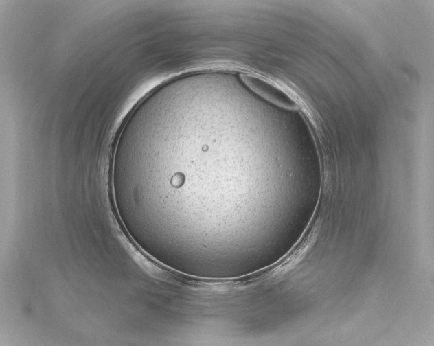 X0000115531438200911201710