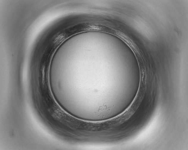 X0000115531439200911201710