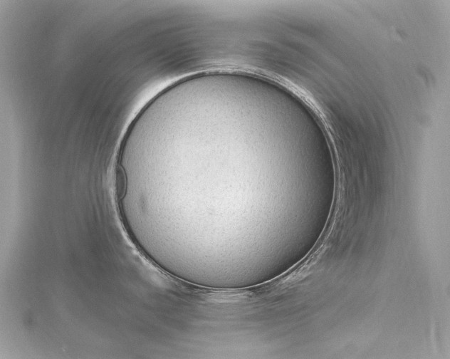 X0000115531440200911201710