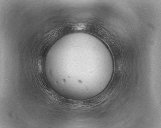 X0000115531442200911201710