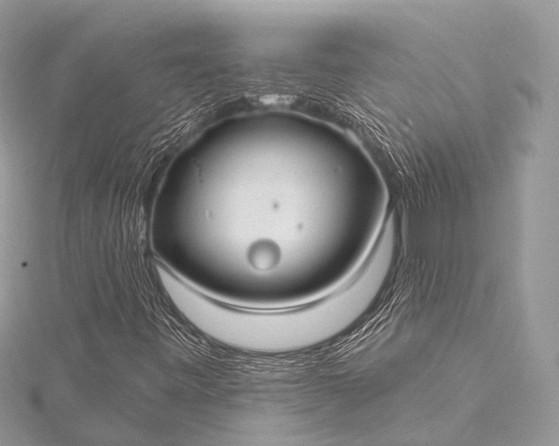 X0000115531443200911201710