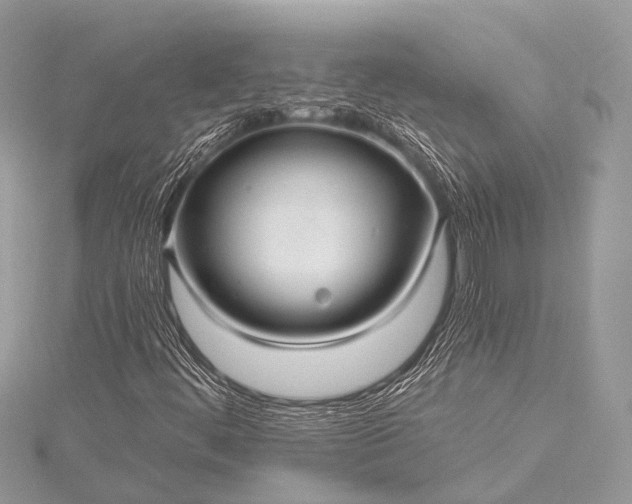 X0000115531444200911201710