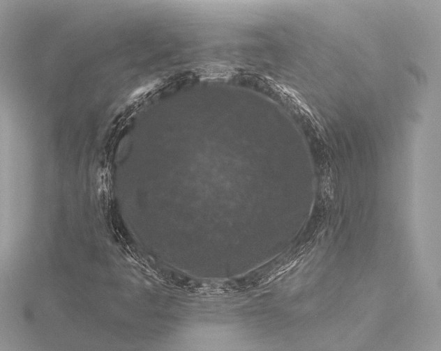 X0000115531445200911201710