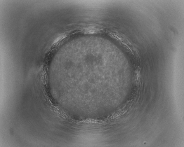 X0000115531446200911201710