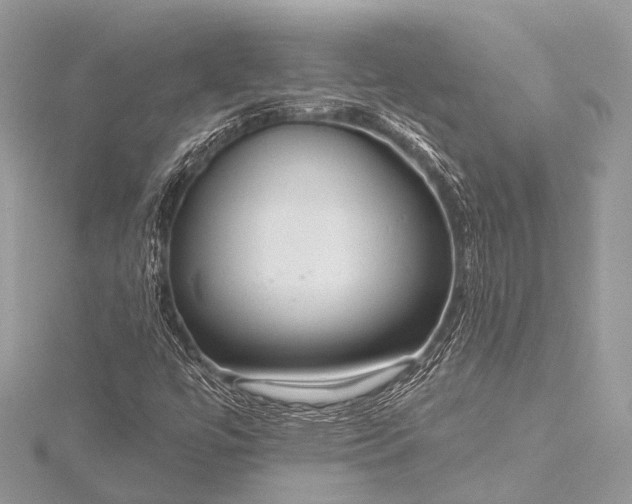 X0000115531447200911201710