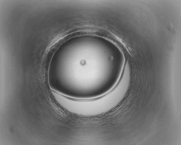 X0000115531448200911201710