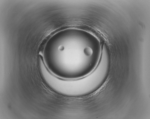 X0000115531449200911201710