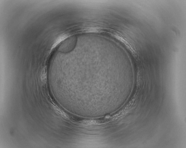 X0000115531450200911201710