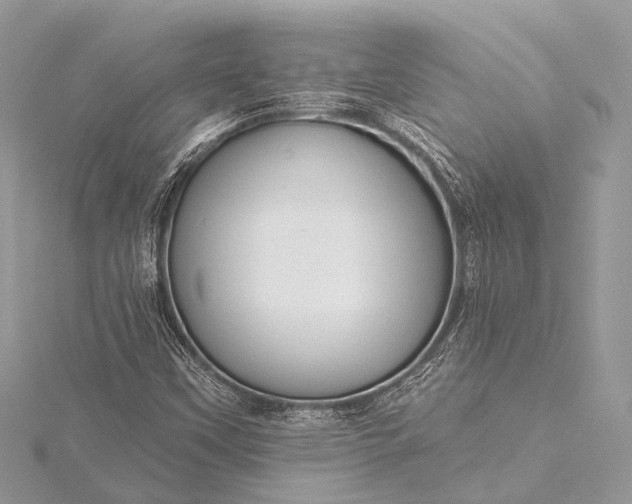 X0000115531451200911201710