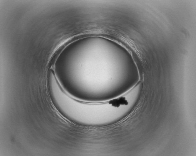 X0000115531452200911201710