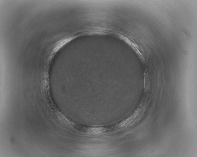 X0000115531453200911201710