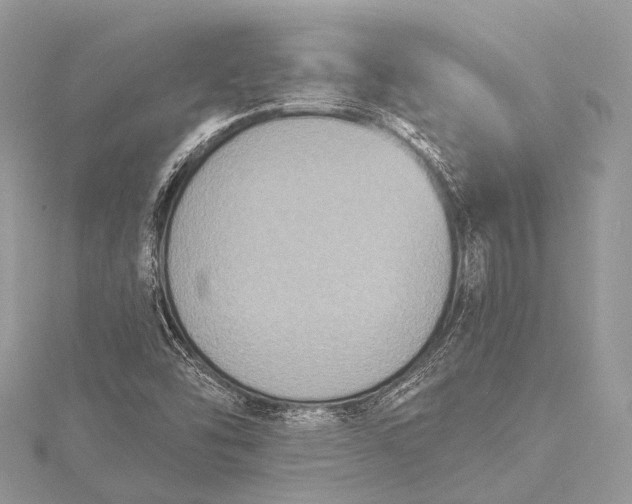 X0000115531454200911201710