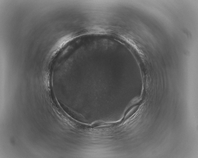 X0000115531455200911201709