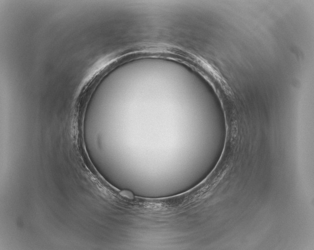 X0000115531456200911201709