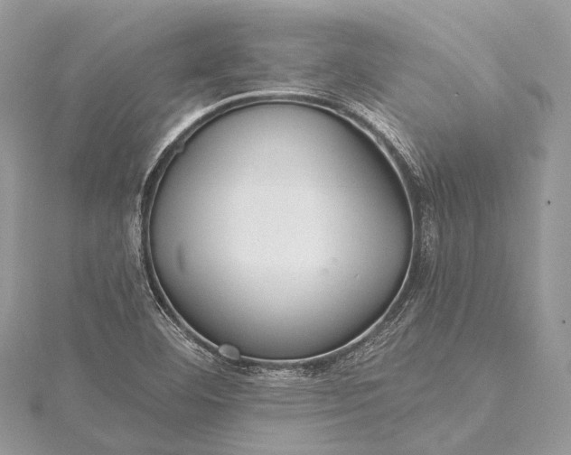 X0000115531460200911201709