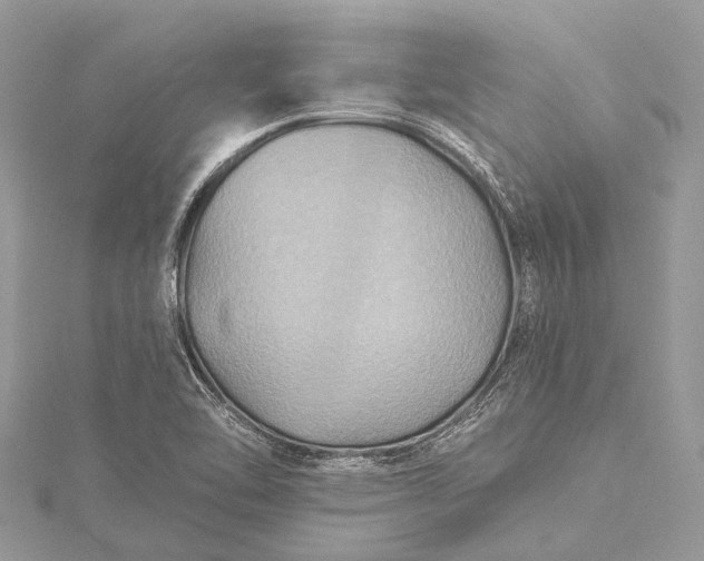 X0000115531462200911201709