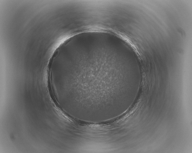 X0000115531463200911201709