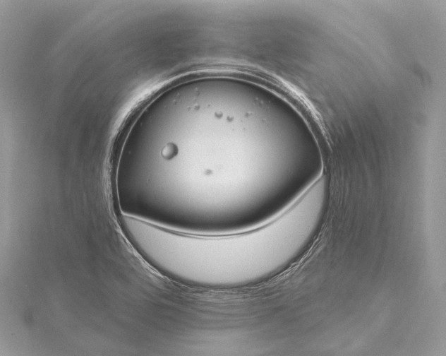 X0000115531464200911201709