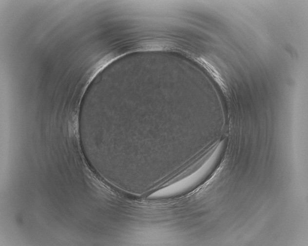 X0000115531465200911201709