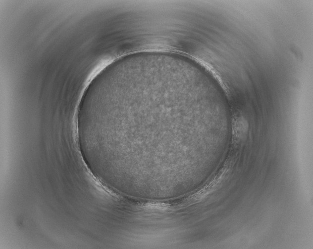 X0000115531466200911201709