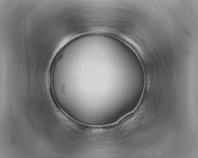 X0000115531467200911201709