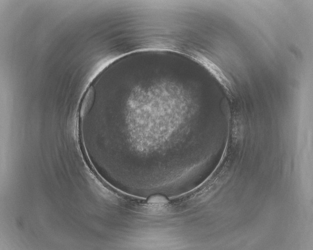 X0000115531468200911201709