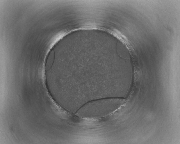 X0000115531469200911201709